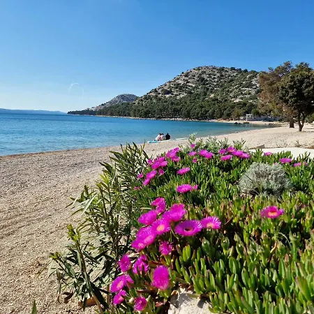 Buqez Eco - Beach 41 - Seaview Villa