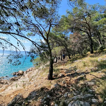 Buqez Eco - Beach 41 - Seaview Drage